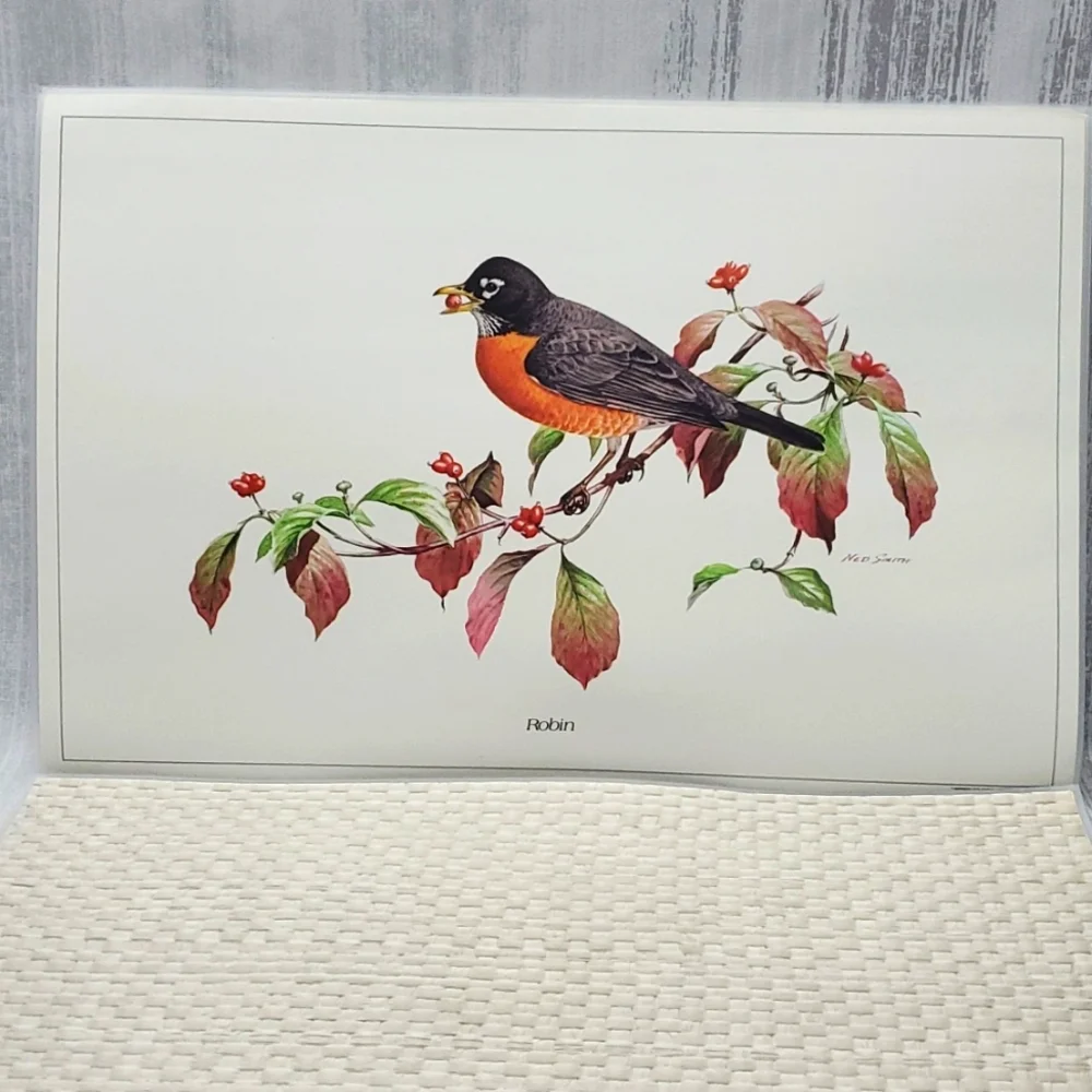Ned Smith 6Pc Placemats SongBird Series - Picture 4 of 14